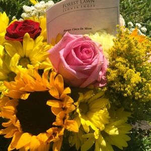 Meet your Posher, Eileen